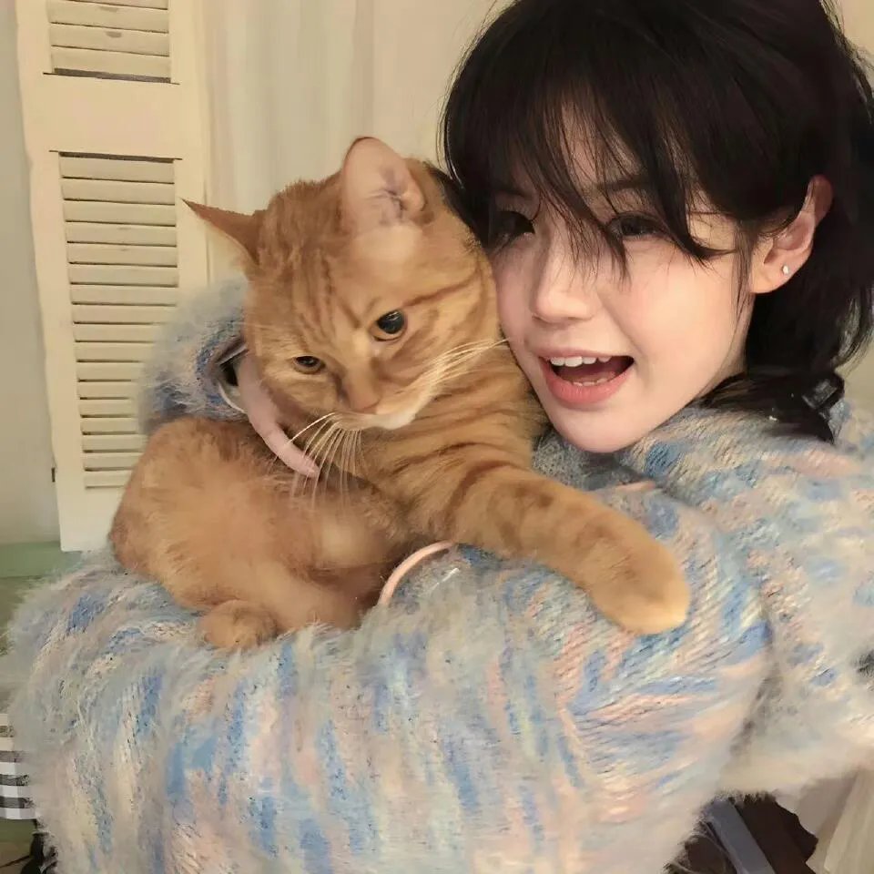 八面修罗之凤凰雪