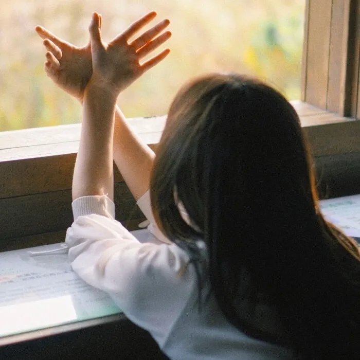 奇奇与蒂蒂：救援突击队